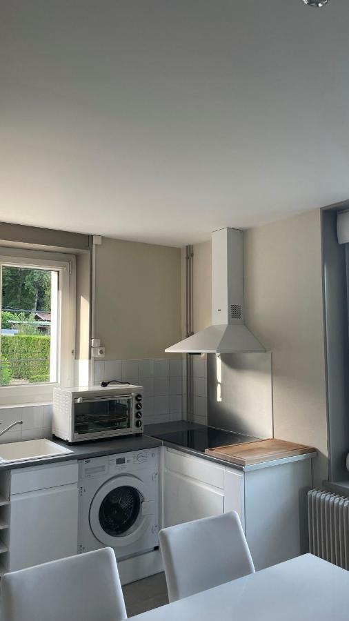 Appartement La Fourmi Verte Bruyeres Extérieur photo